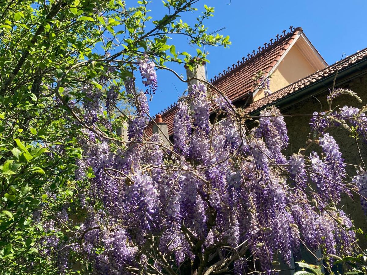 Domaine La Jam Bed & Breakfast Marciac Luaran gambar